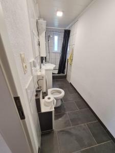 a small bathroom with a toilet and a sink at Husic Immobilien und Handwerkerservice in Rimbach