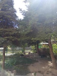 Un patio con árboles y una cerca y una cerca en Cozy apartment in Vračar +garden, en Belgrado