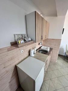 a kitchen with a sink and a counter top at Apartman MIM in Trebinje +55 photos