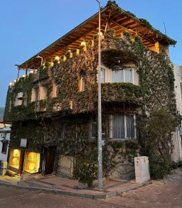 a building covered in ivy on a street at Hotel Bella in Selçuk