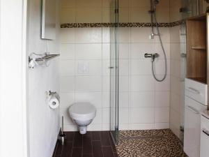 a bathroom with a toilet and a glass shower at Attraktives Ferienhaus mit Balkon in Kaltennordheim +13 photos