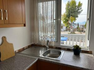 Η κουζίνα ή μικρή κουζίνα στο Vila Islands View +102 φωτογραφίες