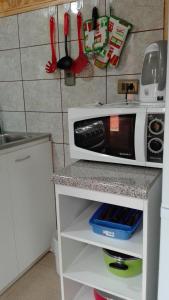 una cocina con microondas en una encimera en CABAÑA 2323 Neltume huilo huilo Chile, en Neltume