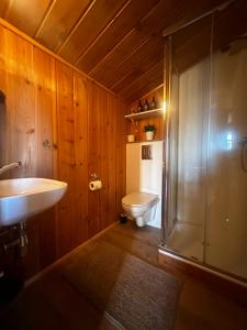y baño con aseo, lavabo y ducha. en Hengifosslodge Skáldahús, en Egilsstadir