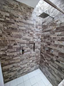 y baño con ducha y pared de piedra. en Casa Denali en Aguascalientes