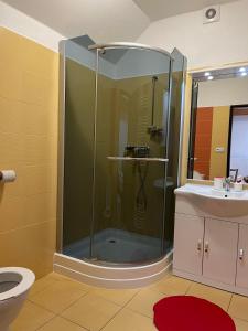 a bathroom with a shower and a toilet and a sink at Rožmberská Chalupa in Třeboň +36 photos