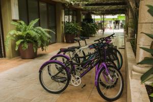 una fila di biciclette viola parcheggiate in un edificio di Suites Colonial a Cozumel