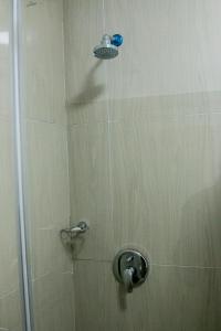 a shower with a shower head in a bathroom at BOTHA VILLA LODGE in Cape Town
