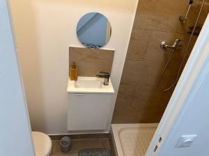 un piccolo bagno con lavandino e specchio di Studio dans une maison 2/3 ad Aulnay-sous-Bois