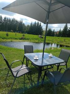 a table with two chairs and an umbrella next to a lake at DOM w JESIONACH Brajniki - działka 1 HEKTAR in Jedwabno