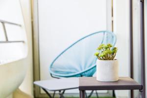 a plant sitting on a table next to a chair at Studio Lumineux avec TERRASSE, CLIM, CENTRALE, Palais des Papes à 1m in Avignon