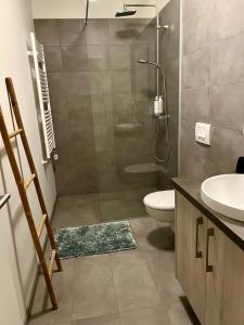 a bathroom with a shower and a toilet and a sink at Modern luxury apt downtown in Reykjavík
