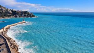 an aerial view of a beach and the ocean at La Casetta in Gattières +4 photos