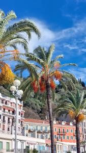 a group of palm trees in front of a building at La Casetta in Gattières
