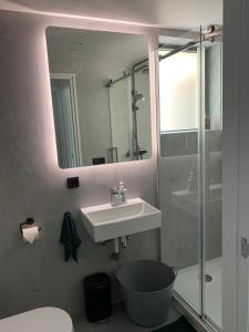 een badkamer met een wastafel, een douche en een spiegel bij De Woudvaart Sneek in Sneek +7 foto's
