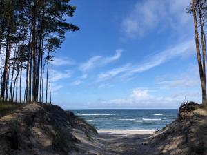 a beach with trees and the ocean at Domek Na pokładzie in Pogorzelica