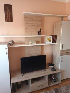 Μια τηλεόραση ή/και κέντρο ψυχαγωγίας στο Apartman Svjetlana