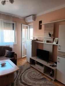 Η κουζίνα ή μικρή κουζίνα στο Apartman Svjetlana