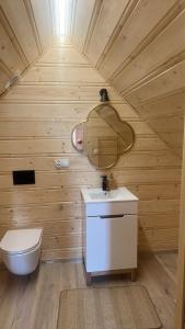 La salle de bains est pourvue de toilettes, d'un lavabo et d'un miroir. dans l'établissement Siedlisko Huta Szklana, à Bieliny