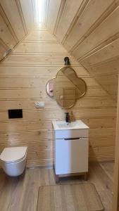 a bathroom with a toilet and a sink and a mirror at Siedlisko Huta Szklana in Bieliny +14 photos
