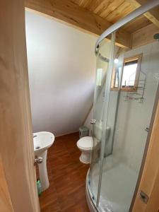 y baño con ducha, aseo y lavamanos. en Cabaña Ataraxia (RDS), en Riñinahue
