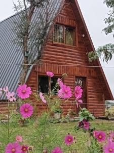 una cabaña de madera con flores rosas delante en La Alpina en Panaholma