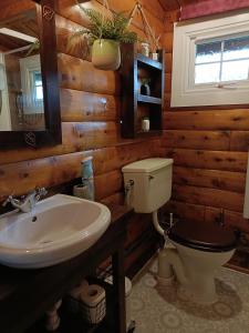 a bathroom with a toilet and a sink at 299 Willow Lodge in Trawsfynydd