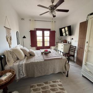 een slaapkamer met een bed en een plafondventilator bij Townhouse 7 in Dingli