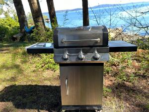 a grill sitting in the grass next to the ocean at SeaLaVie Rare Peaceful & Hidden Gem Shore House in Ladysmith