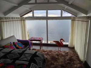 ein Zimmer mit einem großen Fenster mit einem Vogel davor in der Unterkunft CHUYPAS DEL TITICACA in Puno