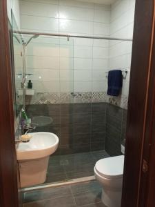 uma casa de banho com um chuveiro, um WC e um lavatório. em Monument Suites em Amã