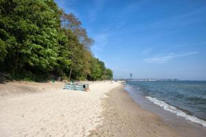 a beach with a bench and trees and the water at Apartament 2-pokojowy Gdynia - Trójmiasto in Gdynia