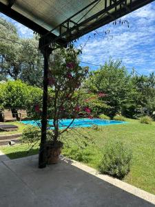 ein Baum in einem Garten neben einem Pool in der Unterkunft Casa de Campo - Los Colibríes in Torres