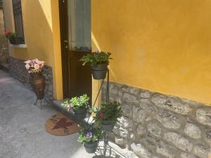 a group of potted plants on the side of a building at Dream Holiday in Argegno