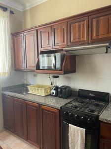 Kuchyň nebo kuchyňský kout v ubytování Apartahotel Alvear