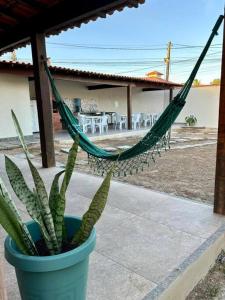 a green plant in a blue pot with a hammock at Casa Completa, muito bem localizada ! in Búzios
