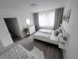 - une chambre avec 2 lits et un miroir dans l'établissement Komfortní byt Pod Příčnou, à Zlaté Hory
