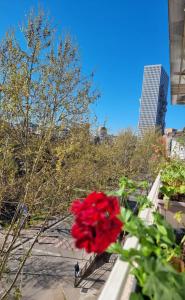Fotografie z fotogalerie ubytování Ema Apartment Tirana v destinaci Tirana