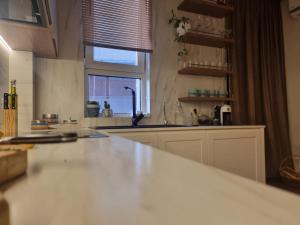 Kuchyň nebo kuchyňský kout v ubytování Ema Apartment Tirana