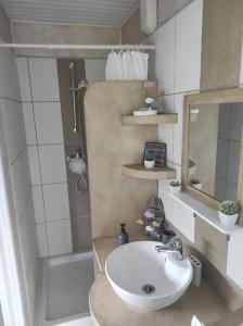 a bathroom with a sink and a shower at T2 Beausoleil in Les Abymes +7 photos