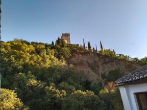ein Schloss auf einem Hügel mit Bäumen in der Unterkunft Apartamento Casa Ruan Albaicín, Las Bernardas in Granada