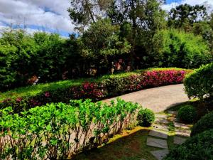 un jardin avec des fleurs et des buissons roses et violets dans l'établissement Pousada Atalaia, à Campos do Jordão