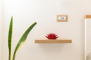 Imagen de la galería de Sweet Hospitality - Apartments l Ferret24, en Alghero
