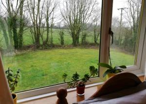a window with a view of a green field at Cosy Cottage in Saint Columb Major