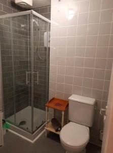 a bathroom with a toilet and a glass shower at Cosy Cottage in Saint Columb Major