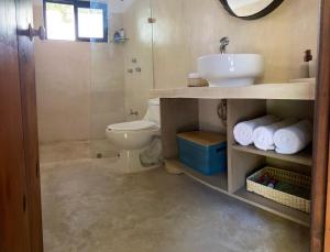 テルチャク・プエルトにあるCasa ALBU Telchac centroのトイレ、洗面台、シャワー付きのバスルーム