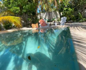 テルチャク・プエルトにあるCasa ALBU Telchac centroの水中の魚が泳ぐスイミングプール