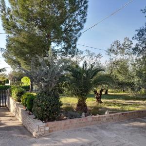 un jardin avec un palmier et des buissons dans l'établissement Villa Hakuna Matata, à Andria 25 autres photos