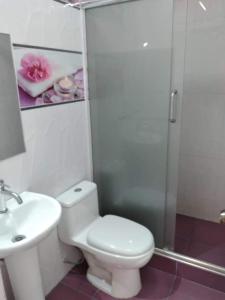 W łazience znajduje się toaleta, umywalka i prysznic. w obiekcie HOSPEDAJE VALERY w mieście Trujillo