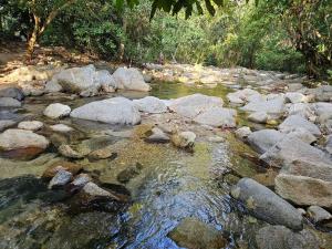 un ruisseau de roches et d'eau avec des arbres en arrière-plan dans l'établissement Cabanas El Toche, à Santa Marta